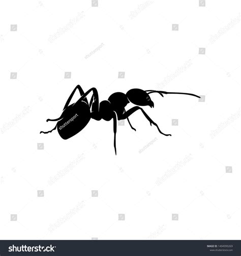 Ant Vector Design Logo Ant Illustration Stock Vector (Royalty Free ...