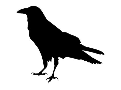 Raven Silhouette 2 SVG Crow SVG Raven SVG Raven Clipart - Etsy