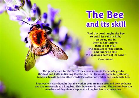 Picture Perfect : Quran & Modern Science – The Bee & its skill - navedz.com