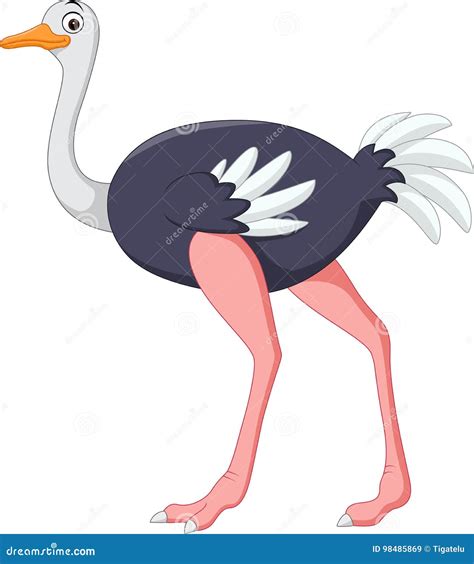 Cartoon Ostrich Isolated On Blank Background Stock Photo ...