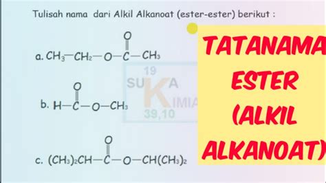 TATANAMA ESTER ( ALKIL ALKANOAT) - KIMIA SMA - YouTube