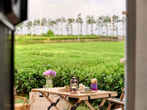 Innisfree opens green tea farms on Jeju Island on Airbnb – Vacation Apartment News | Airbnb & More