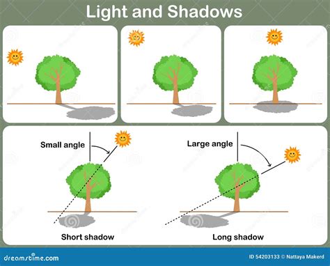 Leaning Light And Shadow For Kids - Worksheet Stock Vector - Illustration of noon, homework ...