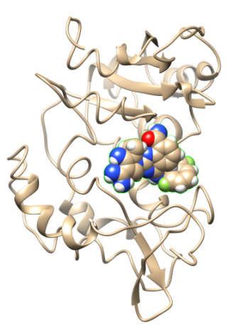 CD38 inhibitors from left to right: 41Z (C20H21ON3 IC50 = 7,2μM), 1BF... | Download Scientific ...