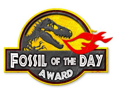 Fossil of the Day – ECO Newsletter