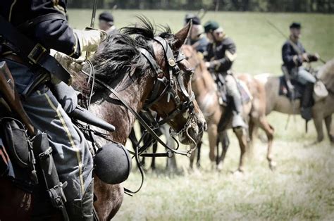 Cavalry: Impact and Evolution in Military History - All About Horses