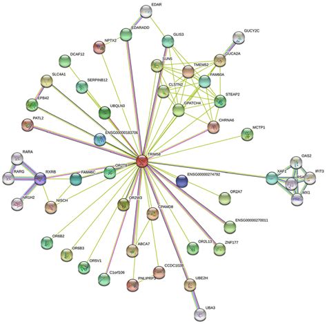 Protein-Protein Interaction network analysis. Using the STRING ...