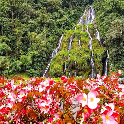 32 Paisajes de Colombia que te dejarán sin aliento | Travelgrafía | Paisajes de colombia, Fotos ...