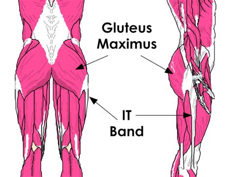 Weak Glutes and Knee Pain » The BioMechanics Method