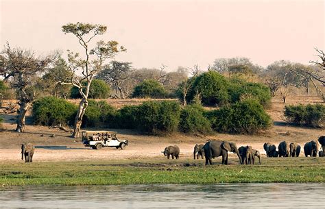 Chobe National Park – Travel Guide, Map & More!