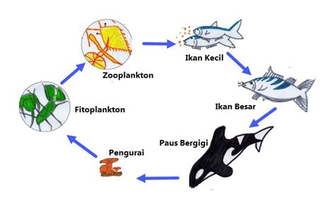 Membuat Teks Nonfiksi Tentang Ekosistem | Mikirbae.com