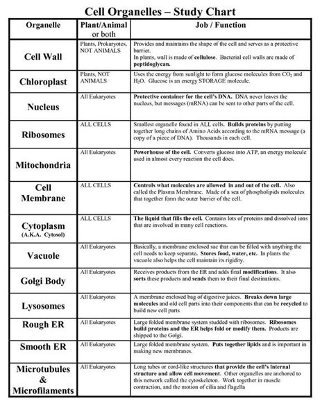 Cell Organelles and its Functions - PSC Online Book | Cell organelles, Organelles, Cell parts ...