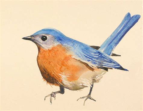 Eastern Bluebird Painting at PaintingValley.com | Explore collection of Eastern Bluebird Painting