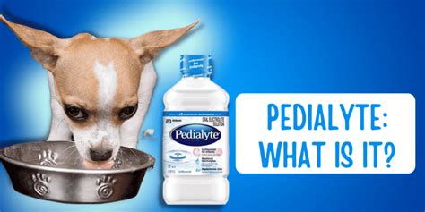 Can Dogs Take Pedialyte