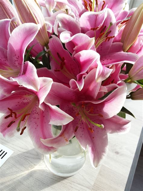 Free Images : table, petal, vase, pink, hydrangea, floristry, peony, flowering plant, flower ...
