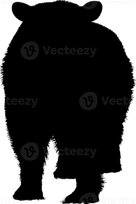 silhouette of bear front side view 23392005 PNG