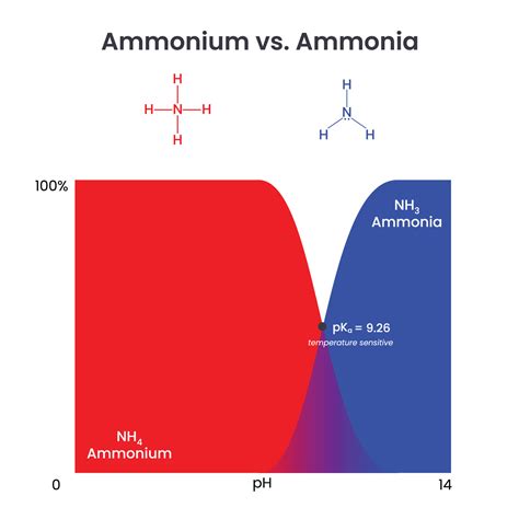 Ammonium Versus Ammonia Comparison science vector illustration graphic ...