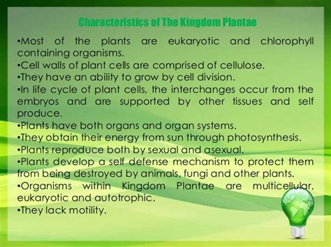 Kingdom Plantae