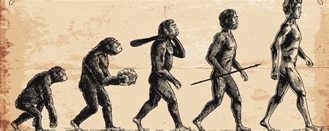 Hominin Evolutionary Patterns in the Early to Middle Pliocene: How Many Forms Are There ...