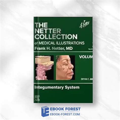 The Netter Collection Of Medical Illustrations: Integumentary System, Volume 4, 3rd Edition ...