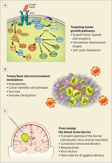 Emerging Therapies for Glioblastoma | Neuro-oncology | JAMA Neurology ...