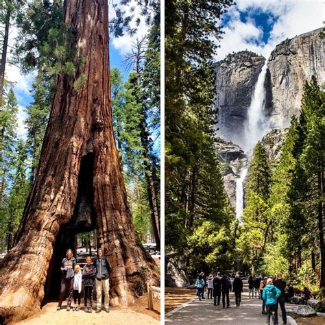 5 Incredible National Parks In California Not To Miss!