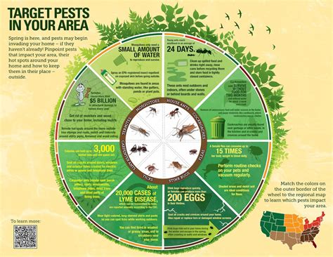 Insect Infestation Prevention - BTC Insurance