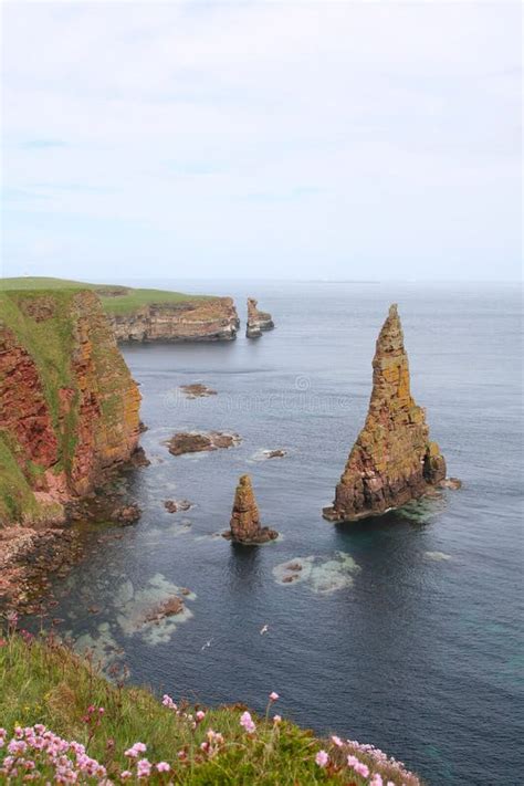 Coastal Stacks stock image. Image of scene, cliff, geological - 5483971