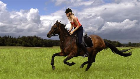 Sport: Reiten - Sport - Gesellschaft - Planet Wissen