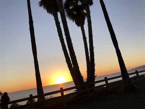 Amazing sunset view at Palisades Park : r/LosAngeles