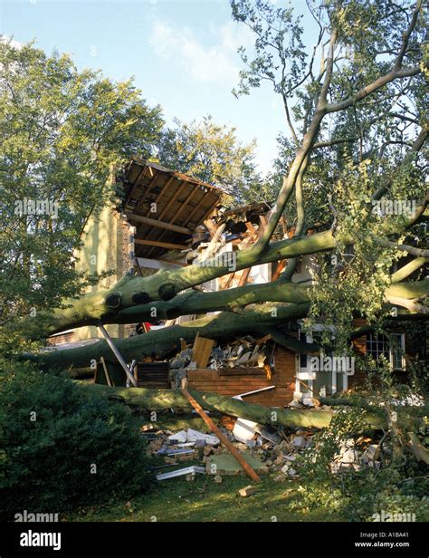 Storm damage after Hurricane hit the uk October 1987 England UK A Stock Photo: 113217 - Alamy