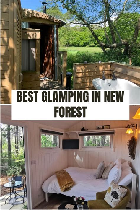 15 Best Glamping Destinations in New Forest, UK