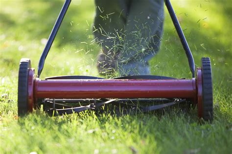 What Is a Reel Mower and How to Use It