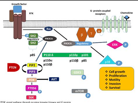 Mutation distributions and clinical correlations of PIK3CA gene mutations in breast cancer ...