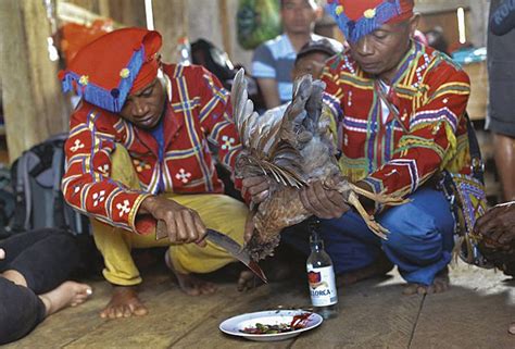 The Manobo Tribe of the Philippines: History, Culture, Customs and Tradition [Philippine ...