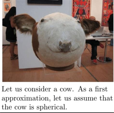 Spherical cow society : r/memes