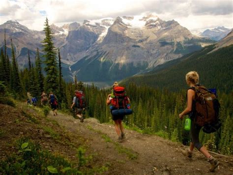 Study wildlife in Banff National Park | School of Environmental and ...