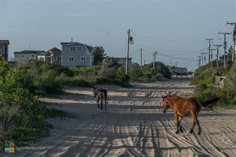 Carova, NC - OuterBanks.com