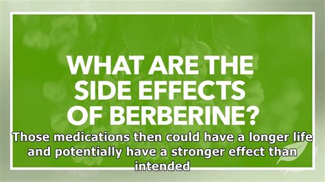 Are There Side Effects of Berberine Supplements? - YouTube