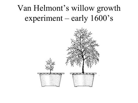 PPT - Van Helmont’s willow growth experiment – early 1600’s PowerPoint ...