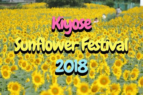 Kiyose Sunflower Festival: Don’t Miss the Largest Sunflower Field in Tokyo!