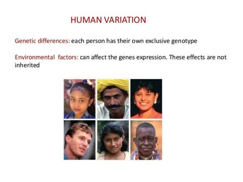 6.human genetics