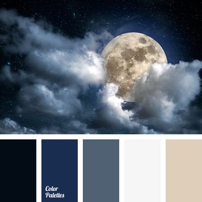 black and gray-blue | Color Palette Ideas