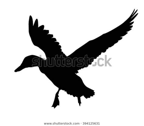 Find Flying Duck Silhouette Vector Eps 8 stock images in HD and millions of other royalty-free ...