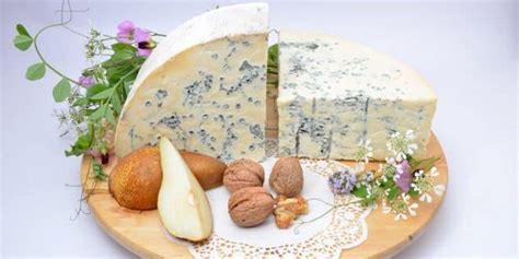 What is Gorgonzola? A Guide to Italy’s Beloved Blue Cheese