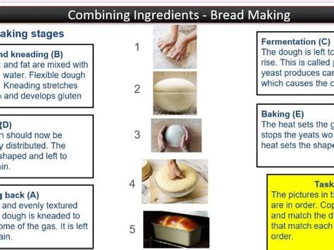 Bread Making Lesson Practical and Theory Lessons | Teaching Resources