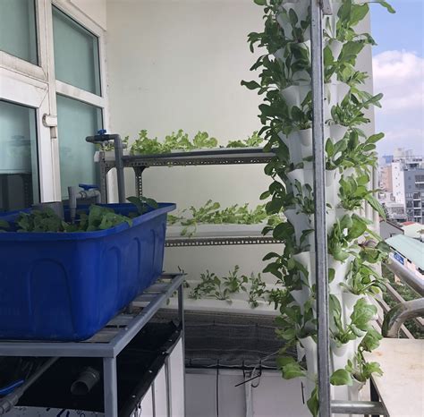 MINI AQUAPONICS SYSTEM - CAS