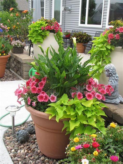 Container gardening... | Container garden design, Container gardening ...