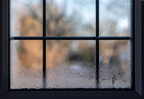 How To Get Rid Of Condensation On Windows