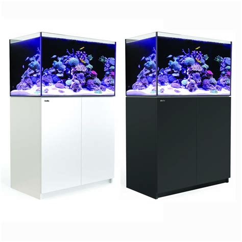 Red Sea Reefer 250 | Fragbox Corals Toronto, Ontario